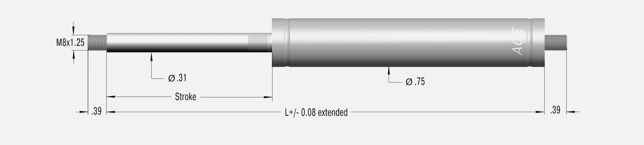 GS-19-100-VA