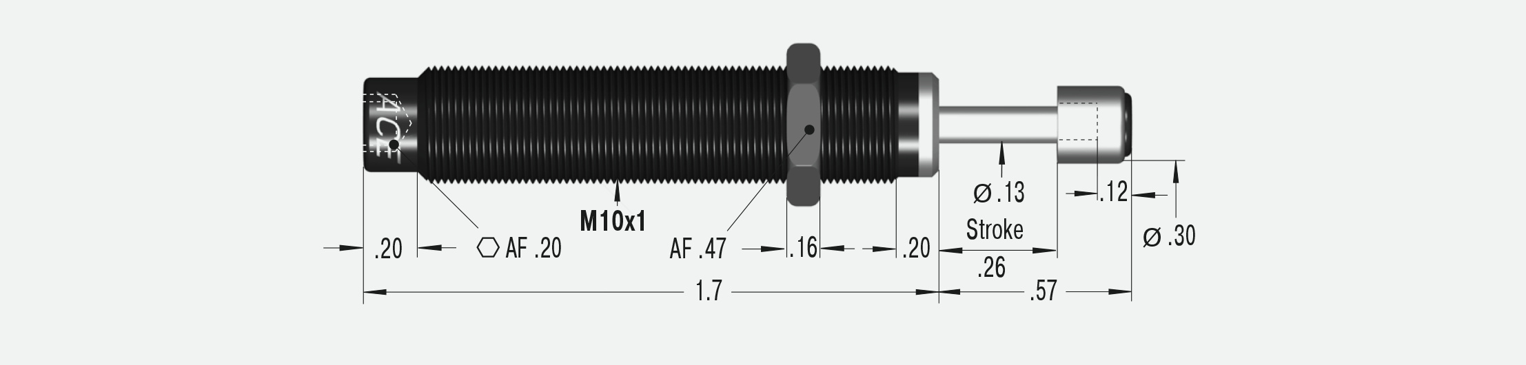 MC25M